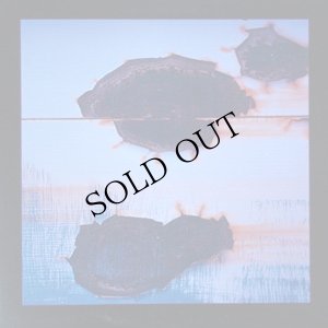 画像1: Charles Curse "Rain in Skull" [LP]