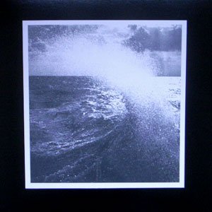 画像1: Taiga Remains - Rv Paintings "Split" [LP]