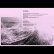 画像2: Taiga Remains - Rv Paintings "Split" [LP] (2)