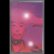 画像1: Red Electric Rainbow & Wether "Split" [Cassette] (1)