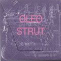 Oleo Strut [Mini CD-R]