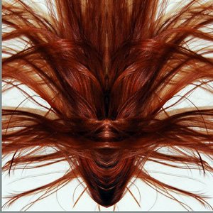 画像1: Dave Phillips "A Collection Of Hair" [2CD]