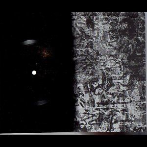 画像2: GX Jupitter-Larsen "Empty Holes, Empty Homes [Book + Flexi Record]