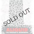 Jean-Marc Foussat, Sylvain Guerineau "Alliquid" [CD]
