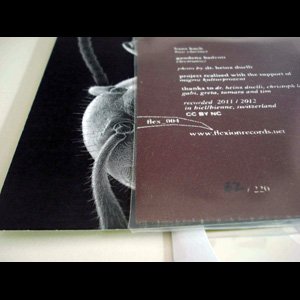 画像3: Hans Koch, Gaudenz Badrutt "Social Insects" [CD]