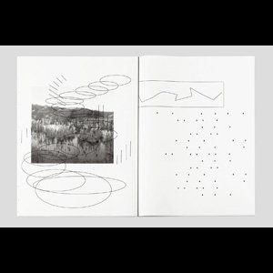 画像5: Matteo Nasini "The Sudden Gust" [LP + A2 Prints]