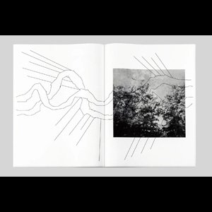 画像3: Matteo Nasini "The Sudden Gust" [LP + A2 Prints]