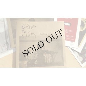 画像1: Dieter Muh "Feeling A Little Horse" [CD]