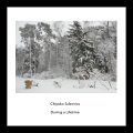 Chiyoko Szlavnics "During A Lifetime" [CD]