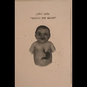 画像1: Sofia Reta "Bureau For Melon" [Cassette]