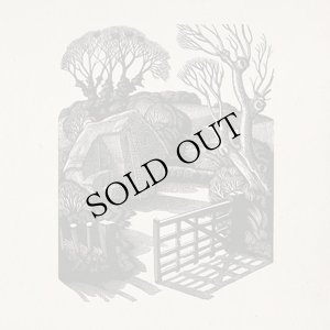 画像1: Ora "Time out of Mind" [CD]