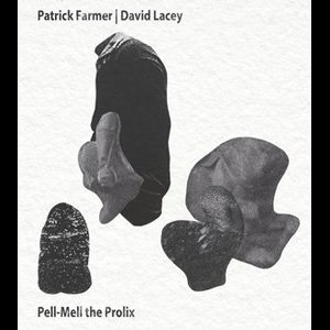 画像1: Patrick Farmer | David Lacey "Pell-Mell the Prolix" [CD-R]