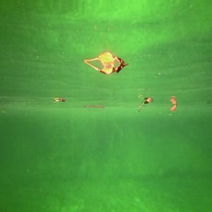 画像2: Simon Whetham "Drowning Electret" [CD-R]