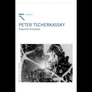 画像1: Peter Tscherkassky "Exquisite Ecstasies" [PAL DVD]