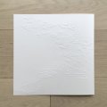 Glauco Salvo "5 Haiku" [LP]