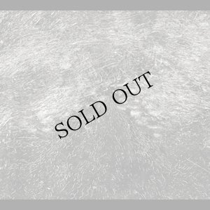 画像1: Manuel Mota "I II" [2 × CD]