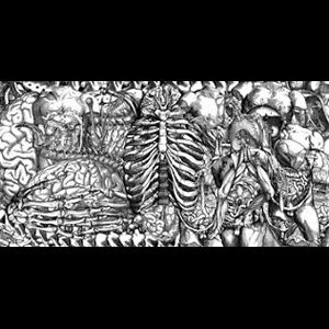 画像2: Blue Sabbath Black Cheer & Irr. App. (Ext.) "Skeletal Copula Remains" [LP]