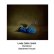 画像1: Linda Catlin Smith - Apartment House "Wanderer" [CD] (1)