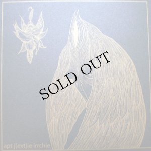 画像1: At Jennie Richie and irr. app. (ext.) "Night Wearing Feathers / Sunshine Bus Rider" [LP]