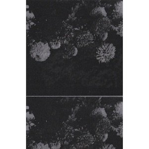 画像1: Formless Hours "Give Form To Desire" [Cassette]