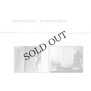 画像1: Steve Piccolo "Domestic Exile" [CD]
