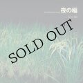 工藤礼子 = Reiko Kudo "夜の稲 = Rice Field Silently Riping In The Night" [LP]