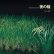 画像1: 工藤礼子 = Reiko Kudo "夜の稲 = Rice Field Silently Riping In The Night" [LP] (1)