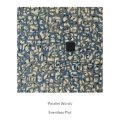 Eventless Plot "Parallel Words" [CD]