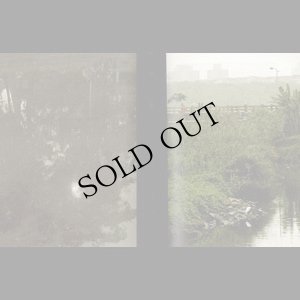 画像2: Yannick Dauby & Wan-Shuen Tsai, Shijingren "Treasure" [Book + CD]