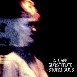 画像1: Storm Bugs "A Safe Substitute" [CD]