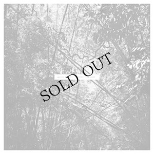 画像1: Andrew Pekler "Tristes Tropiques" [LP]