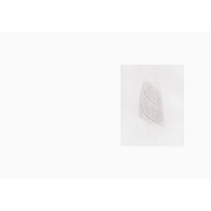 画像3: Lawrence English "A Mirror Holds The Sky" [CD + Book]