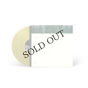 画像3: zake and Isaac Helsen "beliefsystems" [Transparent Citrine LP]