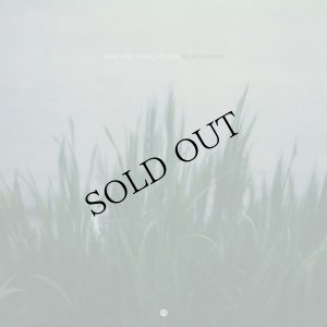 画像2: zake and Isaac Helsen "beliefsystems" [Transparent Citrine LP]