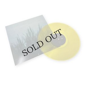 画像4: zake and Isaac Helsen "beliefsystems" [Transparent Citrine LP]