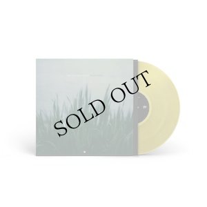 画像1: zake and Isaac Helsen "beliefsystems" [Transparent Citrine LP]