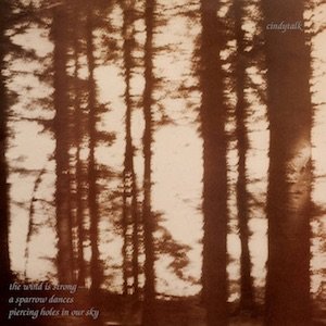 画像2: Cindytalk "The Wind is Strong​.​.​." [Marble Smoke LP]