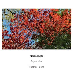 画像1: Martin Iddon "Sapindales" [CD]