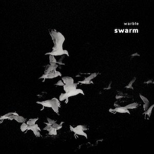 画像2: Warble: Brad Henkel / Miako Klein "Swarm" [CD]