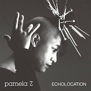 画像2: Pamela Z "Echolocation" [Natural LP]