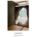 Gabriel Paiuk "Adjacent Sound" [CD]