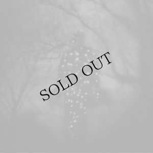 画像1: Emmanuel Holterbach "Le reve, l’ombre et la vision" [CD]