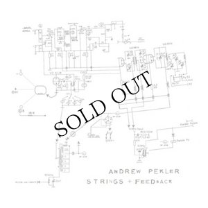 画像1: Andrew Pekler "Strings + Feedback" [LP]