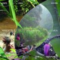 Pygmies MBENZELE - Pygmies AKA "DAYS FULL OF SOUND - life in the rainforest" [2CD + 40 pages booklet]