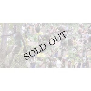 画像5: Pygmies MBENZELE - Pygmies AKA "DAYS FULL OF SOUND - life in the rainforest" [2CD + 40 pages booklet]