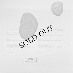 画像3: Ellende "Unintentional Consequences" [10" + 12 page booklet]