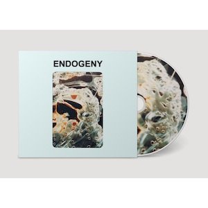 画像2: Gen Ken Montgomery "Endogeny" [CD]