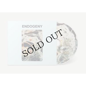 画像2: Gen Ken Montgomery "Endogeny" [CD]