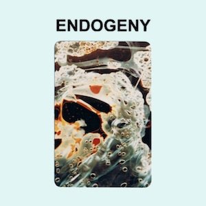 画像1: Gen Ken Montgomery "Endogeny" [CD]