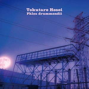 画像1: Tokutaro Hosoi "Phlox drummondii" [CD]
